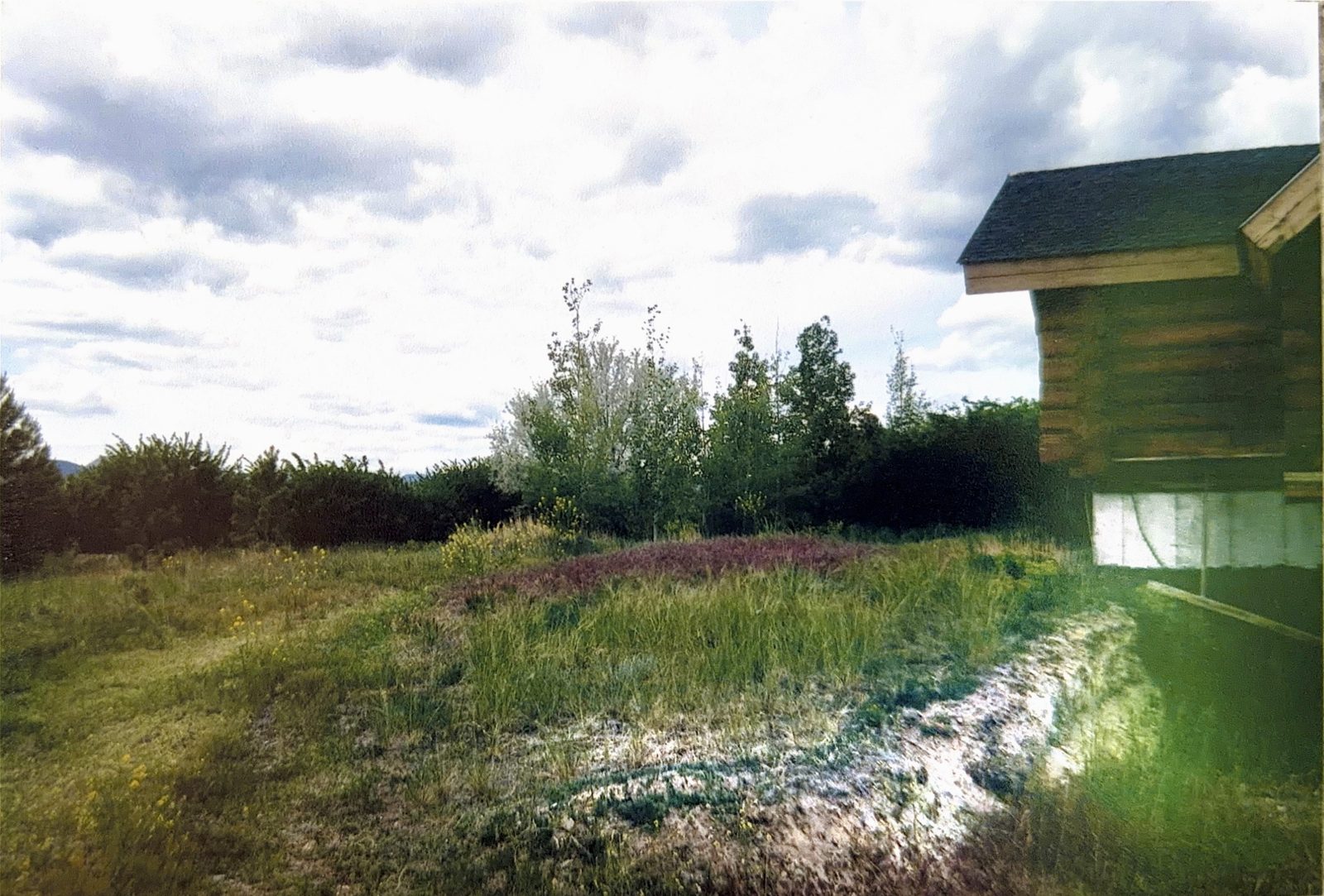 Tall grass grown right up to the log walls.
