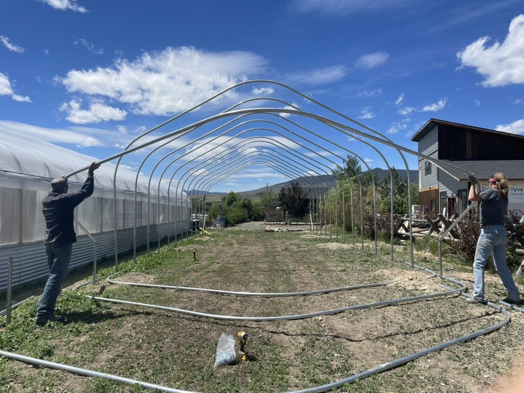 Raising the steel hoops of a new greenhouse on the farm under a big blue Montana sky