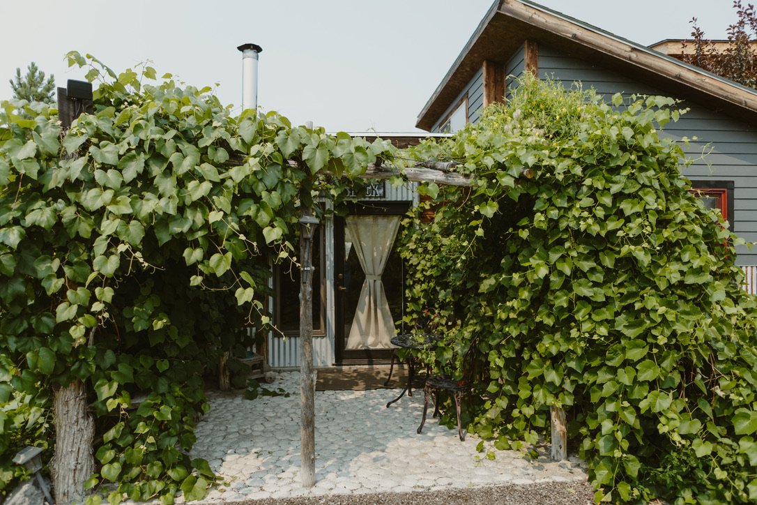 A grapevine arbor over a white river-rock patio leading to a farm stay door