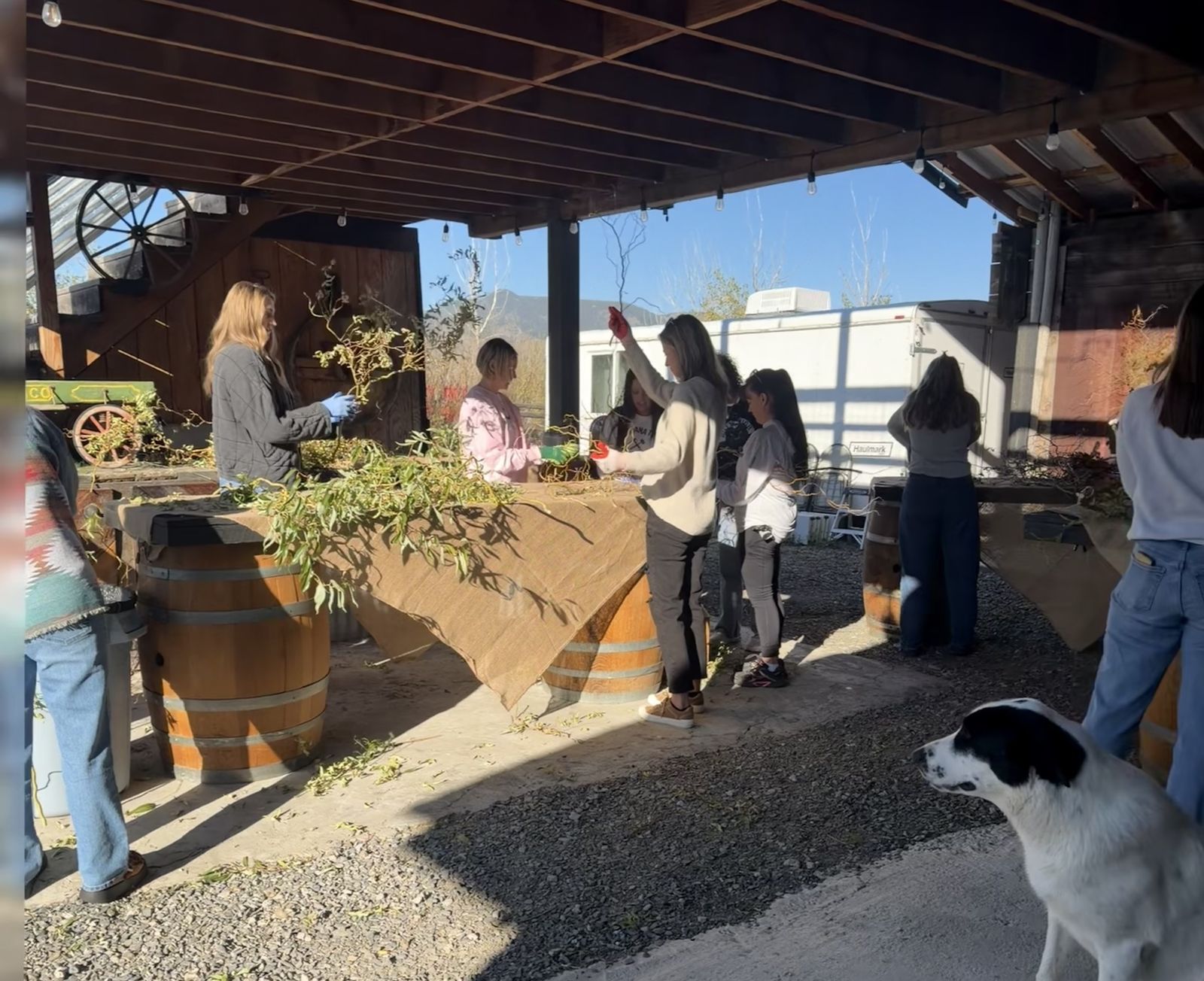 A class gathered at whiskey-barrel tables under the barn overhang, weaving greenery into wreaths while a farm dog watches